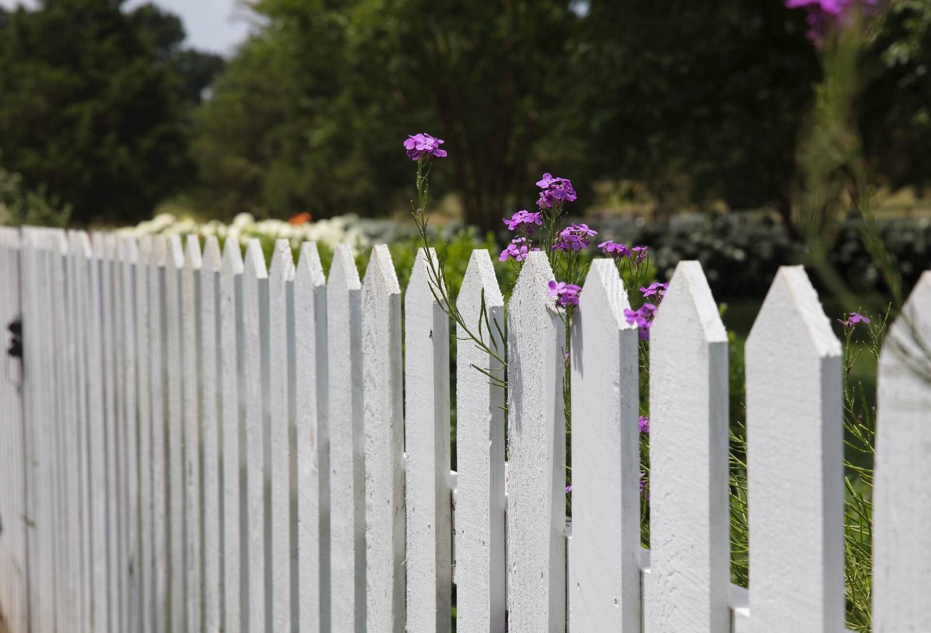 Great Uses for Ornamental Fences - Paramount Fence